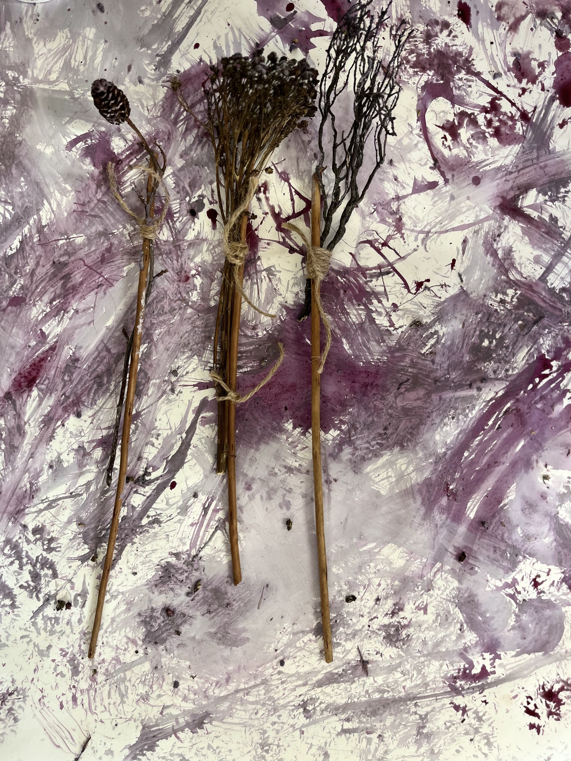 Science Week @The Ark: Forgotten Corners of A City